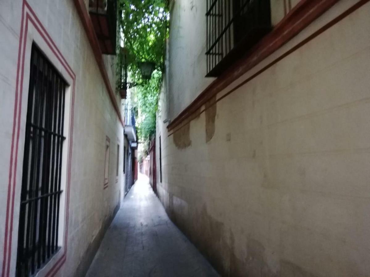 Apartamento En La Juderia De Sevilla ภายนอก รูปภาพ